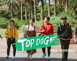 51吃瓜黑料曝料《TOP DOG》免费在线观看