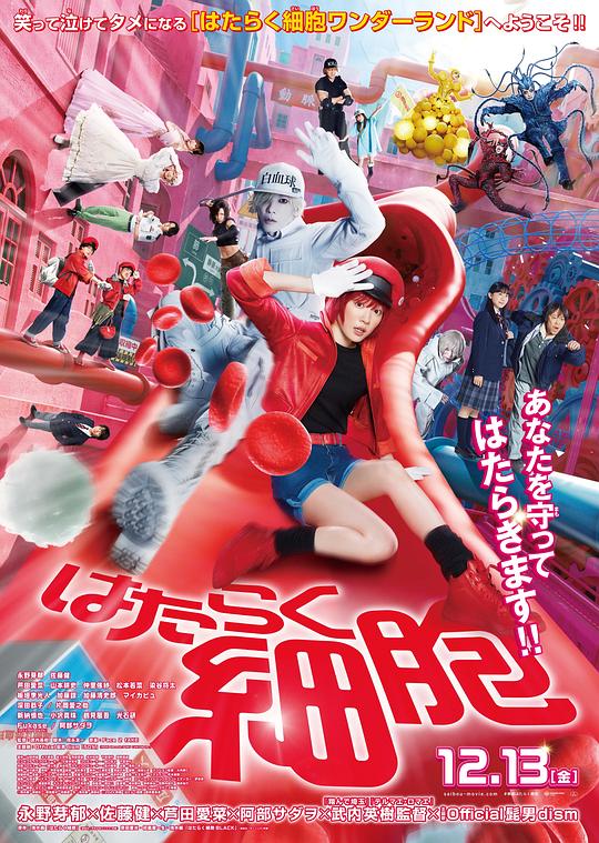 51吃瓜黑料《工作细胞 真人版 はたらく細胞》免费在线观看