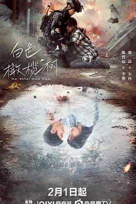 51吃瓜黑料网《白色橄榄树》免费在线观看