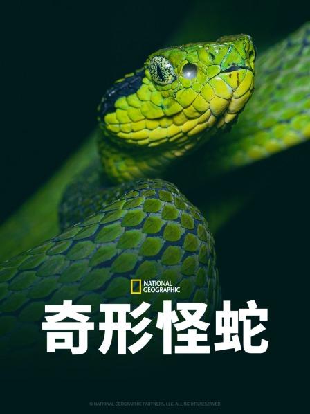 51吃瓜黑料网《奇形怪蛇》免费在线观看